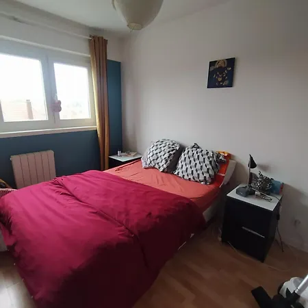 Lejlighed Cosy 60m2 Lumineux Et Calme Beau Proche Du Tram Strasbourg